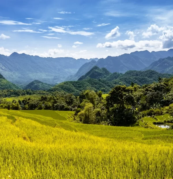 Tour 2D1N Pu Luong : A Breathtaking Adventure in Vietnam’s Countryside