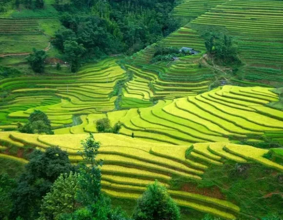 Ha Giang Explore