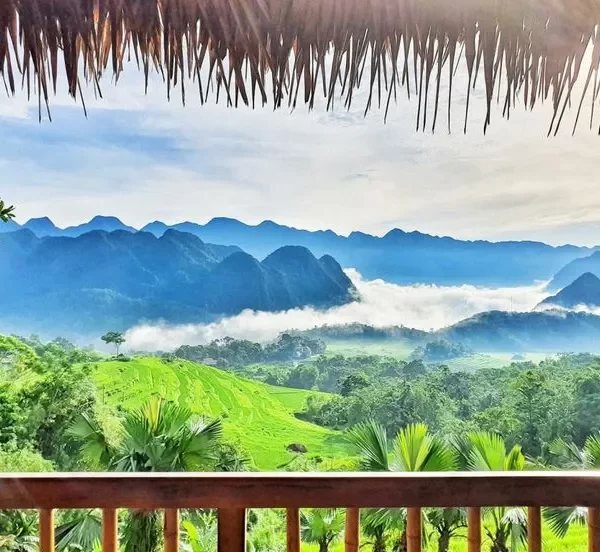 Tour 3D2N Pu Luong Discovery – Unveil the Secrets of Northern Vietnam