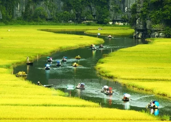 Vietnam Intro 12 Days – The Ultimate Adventure Across Vietnam