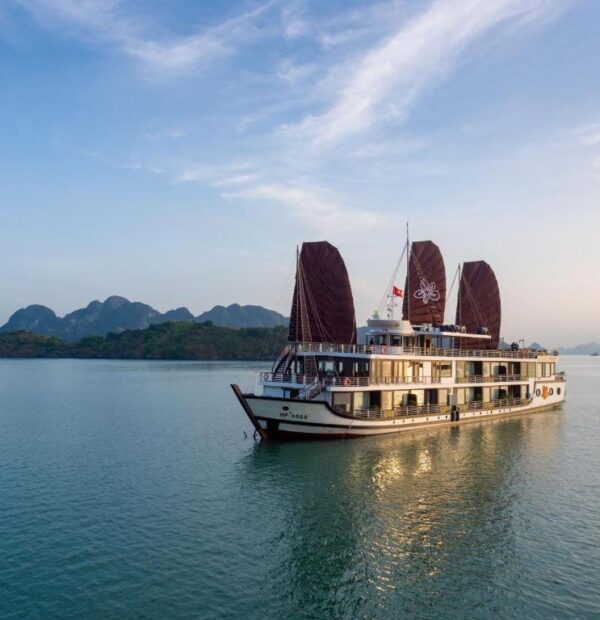 Orchid Trendy Cruise