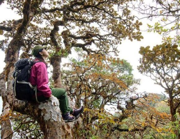 Ta Lien Son trekking journey – Departing from Hanoi