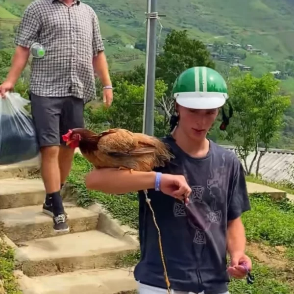 British Tourist Travels Through Ha Giang With a Beloved Pet Chicken