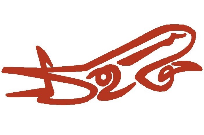 Visas Icon