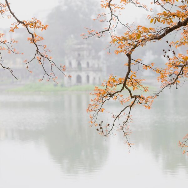 Best Vietnam Private Tours