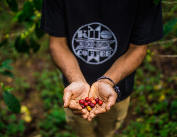 Discover K’Ho Coffee: A Hands-On Coffee Tour in Da Lat, Vietnam