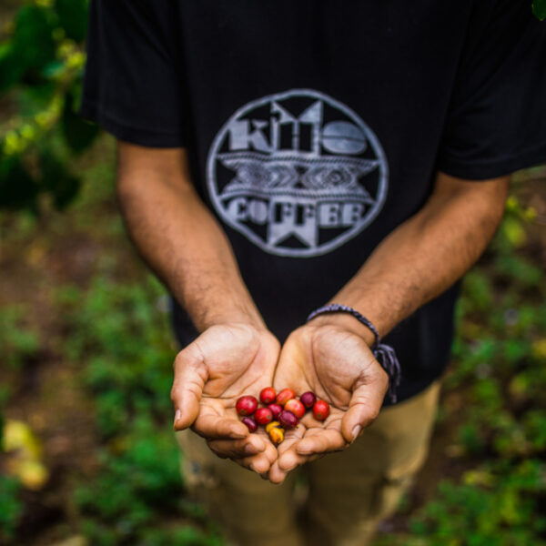Discover K’Ho Coffee: A Hands-On Coffee Tour in Da Lat, Vietnam