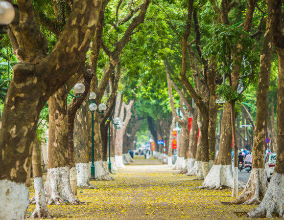 Ultimate Top 3 Self-Guided Hanoi Walking Tours to Explore the City