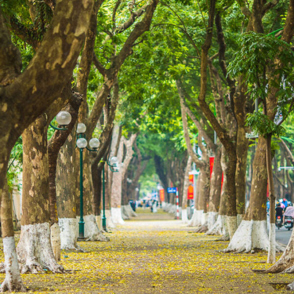 Ultimate Top 3 Self-Guided Hanoi Walking Tours to Explore the City