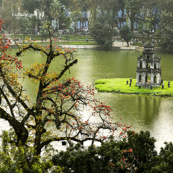 Vietnam Travel: A Swiss Couple’s Unforgettable 15-Day Journey Across the Country