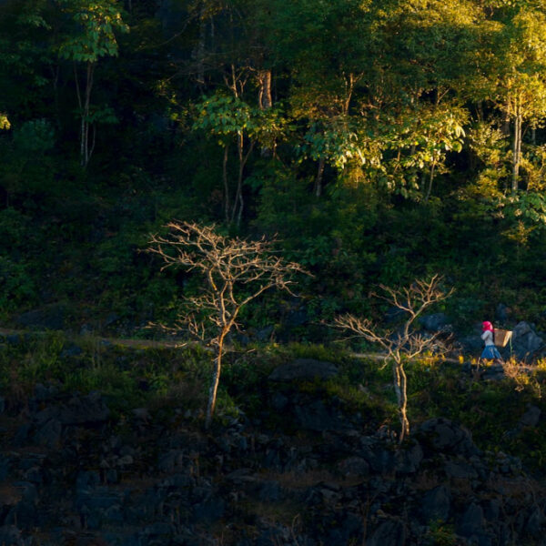 Ha Giang Travel Guide: Explore Northern Vietnam’s Last Frontier