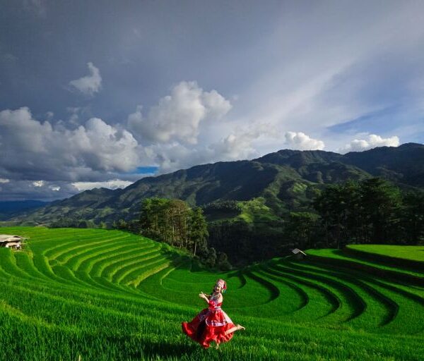 Mu Cang Chai Weather Guide: Best Time to Visit for Stunning Views & Safe Travel