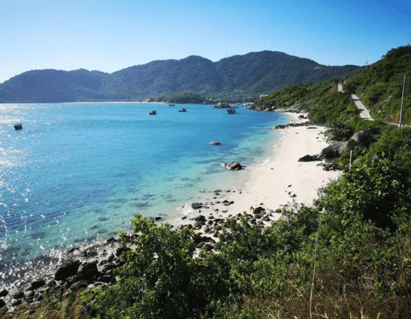 Da Nang & Cham Island: Discover 200 Species of Fish in Vietnam’s Most Breathtaking Coastal Paradise