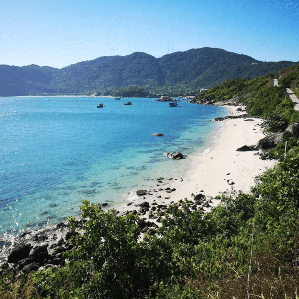 Da Nang & Cham Island: Discover 200 Species of Fish in Vietnam’s Most Breathtaking Coastal Paradise