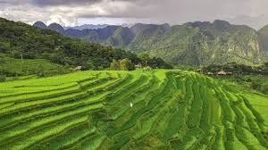 Pu Luong Nature Reserve: 5 Breathtaking Wonders of Vietnam’s Hidden Gem