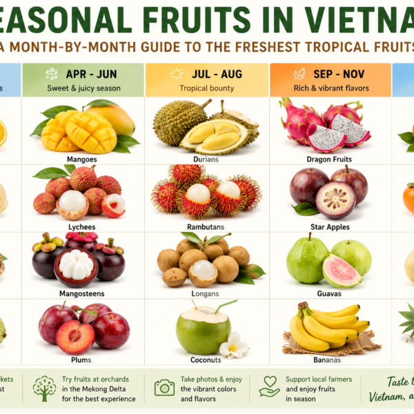 15 Delicious Seasonal Fruits in Vietnam You Should Try (2026 Guide)