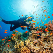 Best Beaches for Snorkeling in Vietnam