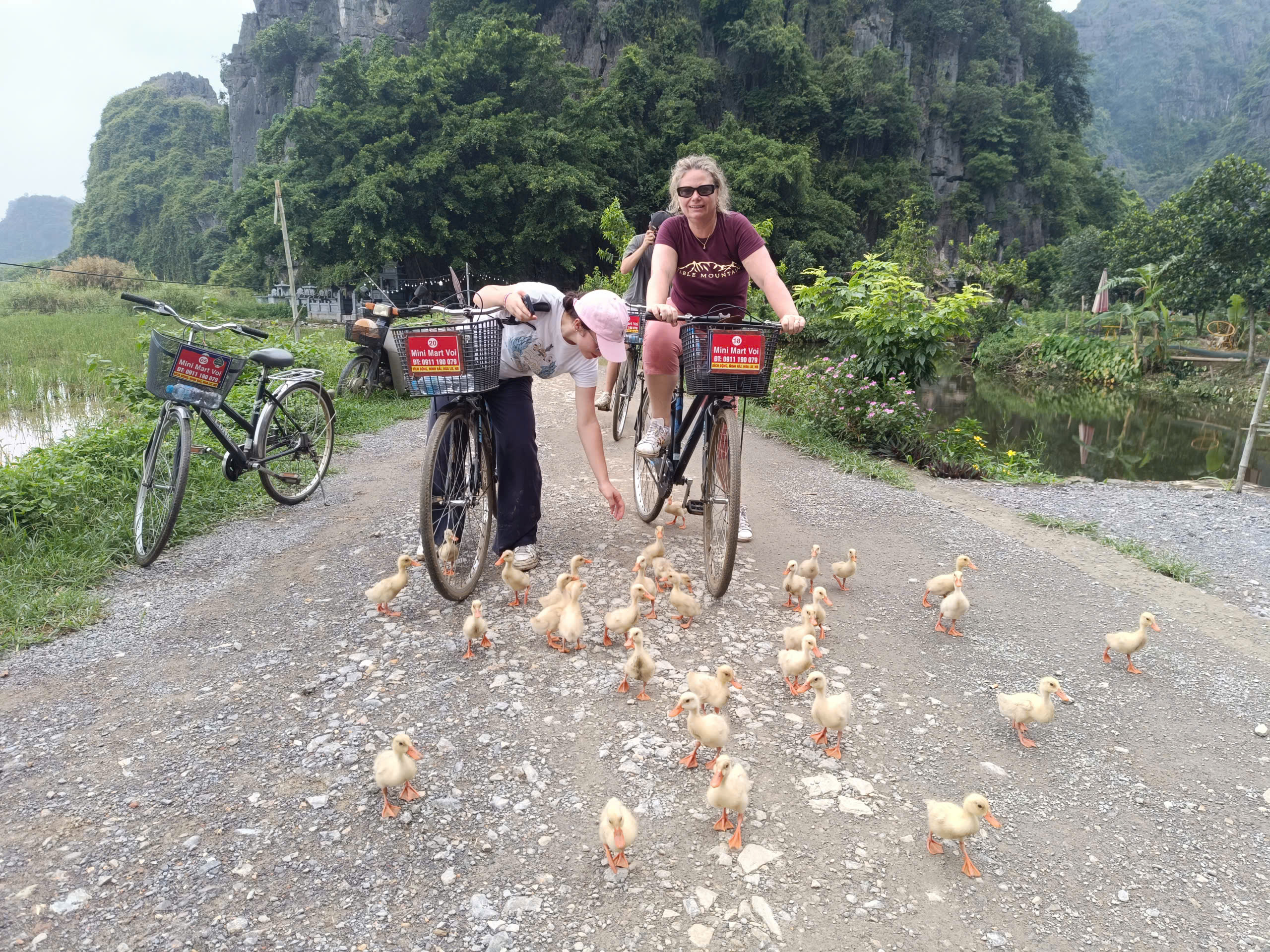 Ninh Binh, Vietnam — photo 2
