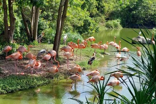 Phu Quoc National Park