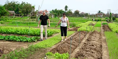 Tra Que Vegetable Village