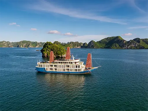VERDURE LOTUS CLASSIC CRUISE - Deluxe