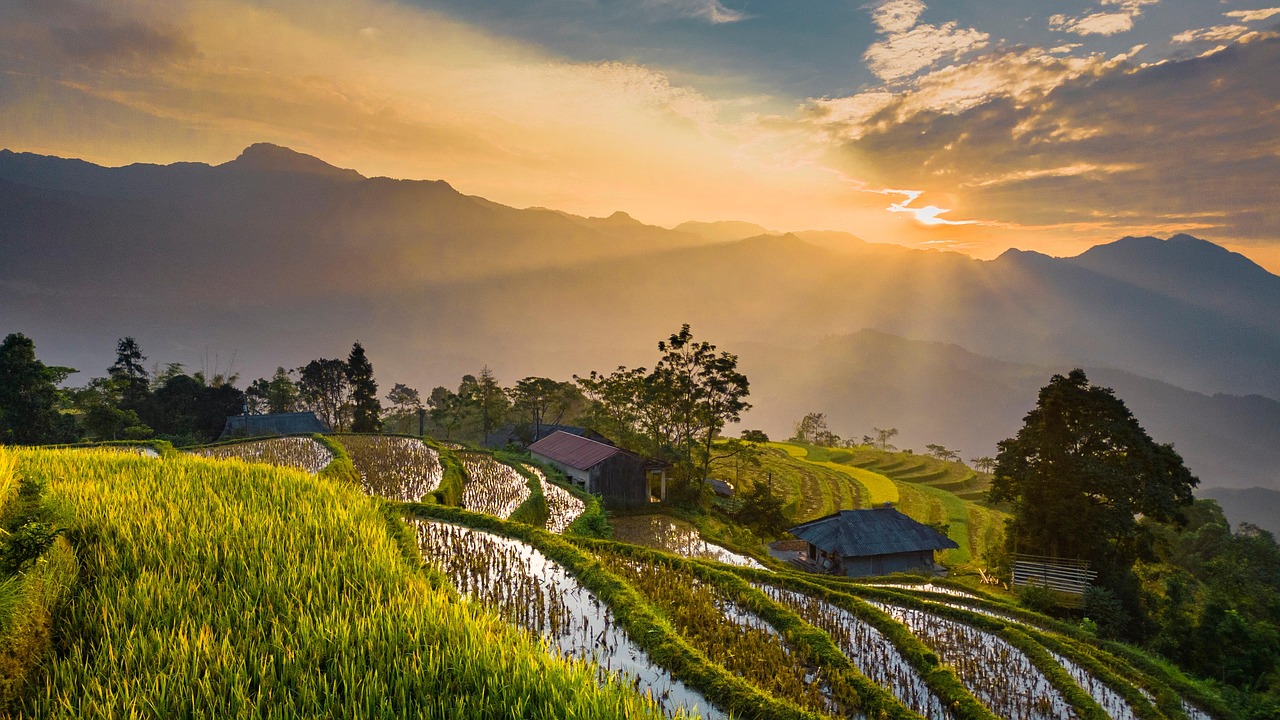 top things to do in Quang Binh - field, nature